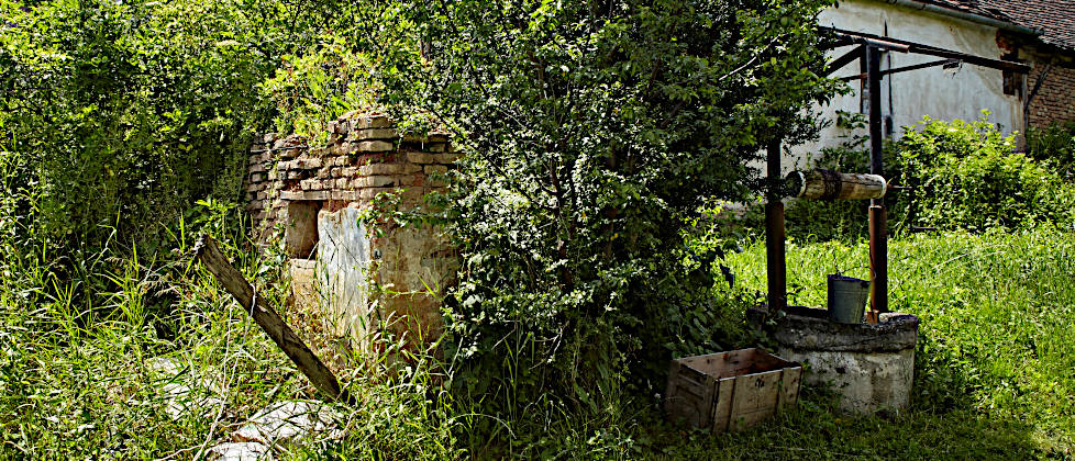 Fotografische Aufnahme des alten Ziegelbrunnens vor der Reinigung, noch nicht freigelegt von Bewuchs, mit einem Eimer daneben.